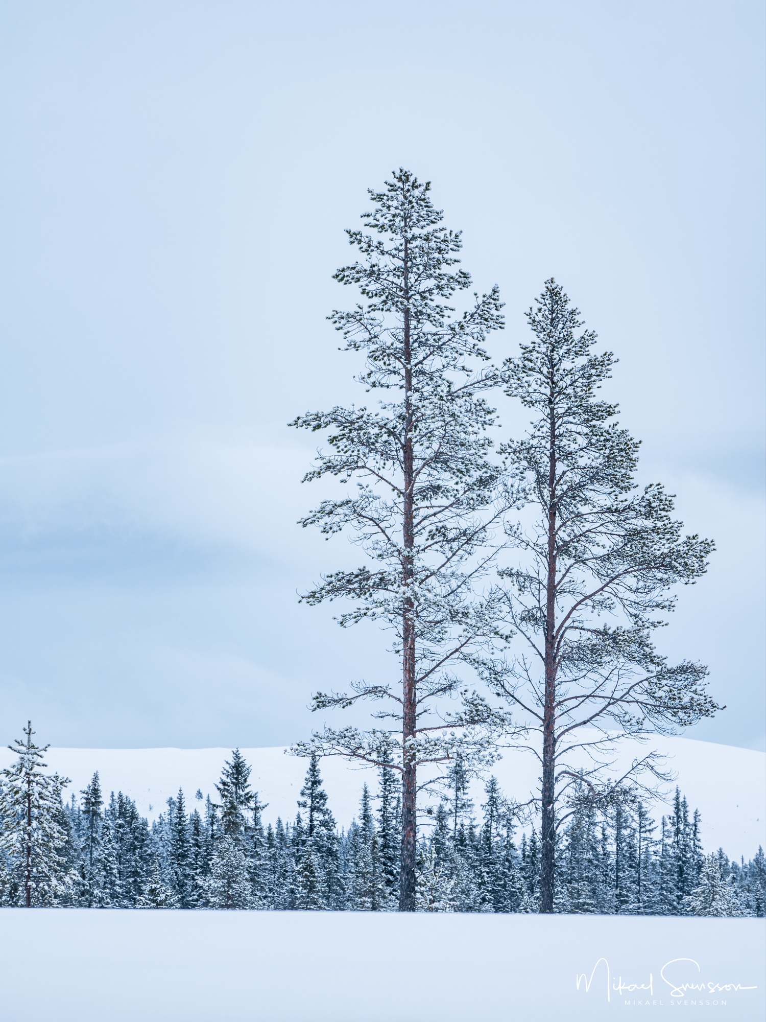 Grövelsjöfjällen i vinterskrud, Dalarna.