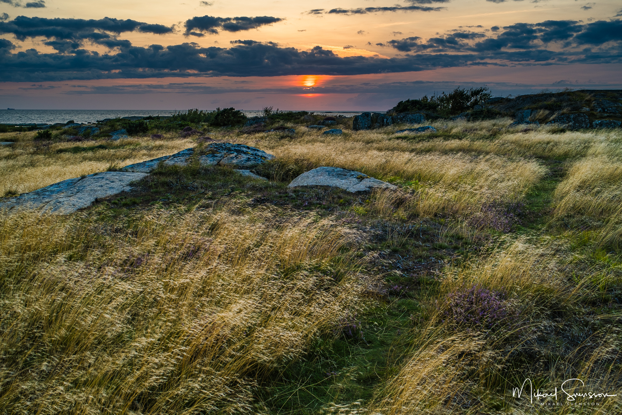 Solnedgång vid Västra Getteröns naturreservat, Varbergs kommun, Halland.