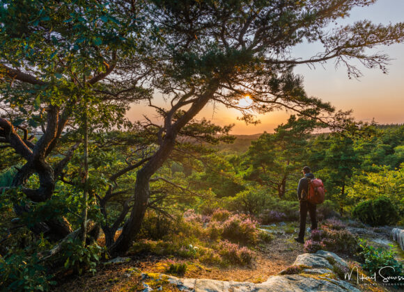Utsikt vid Ranebo Naturskog, Stenungssunds kommun