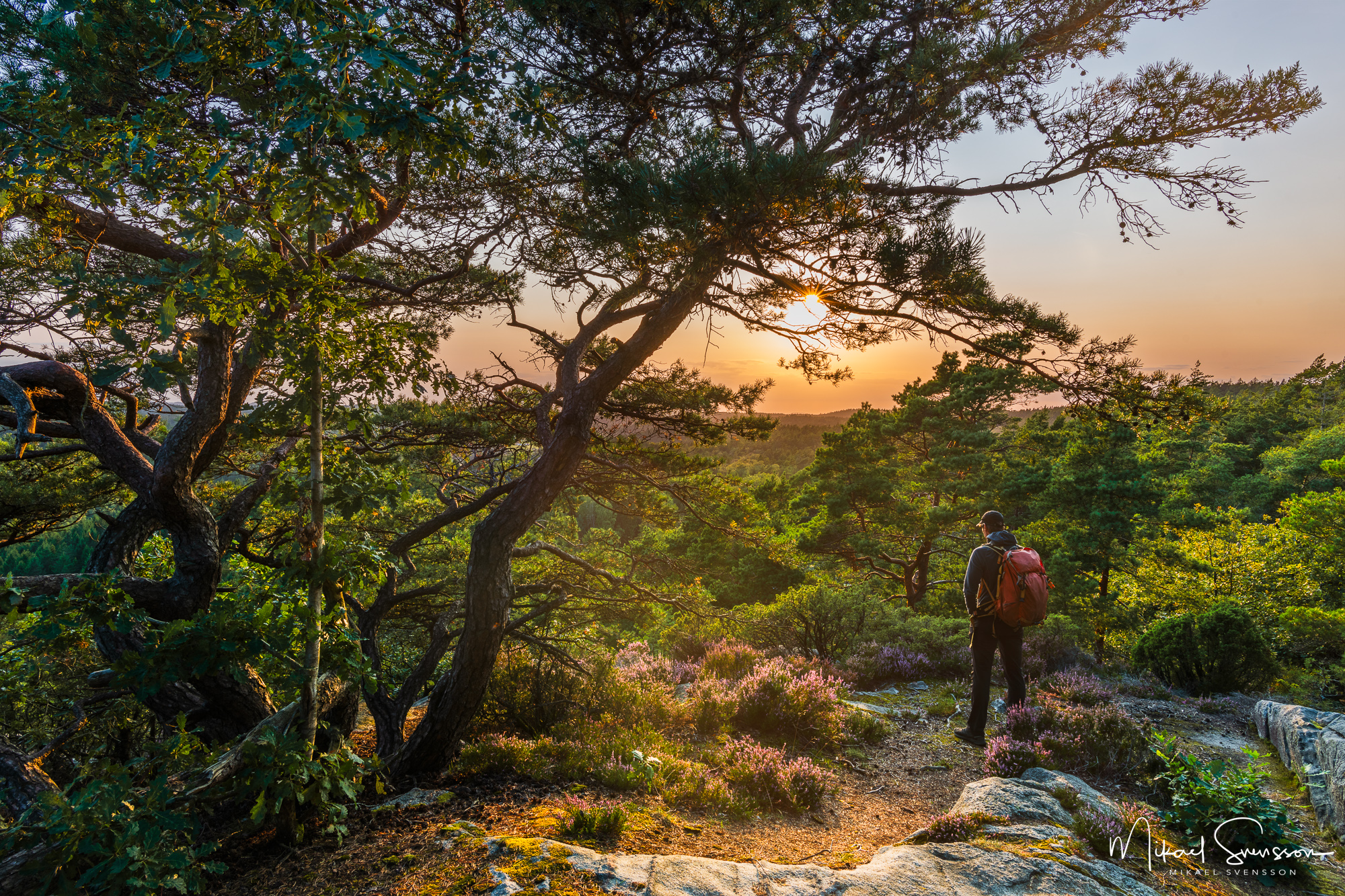 Utsikt vid Ranebo Naturskog, Stenungssunds kommun