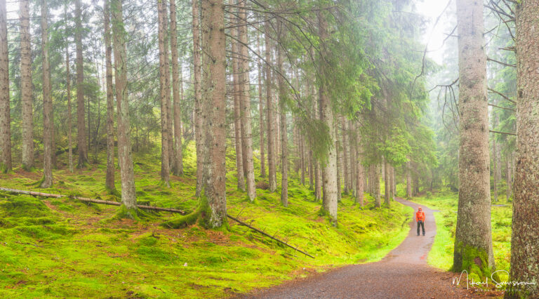 Djursjöleden - Mölndals nya vandringsled.