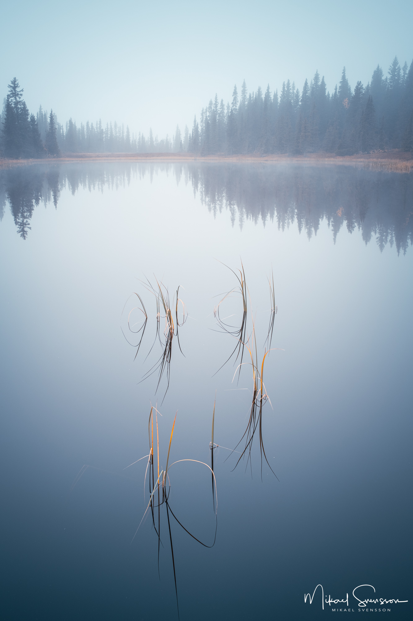 Dimma vid skogstjärn i Hemsedal kommune, Norge. Foto: Mikael Svensson