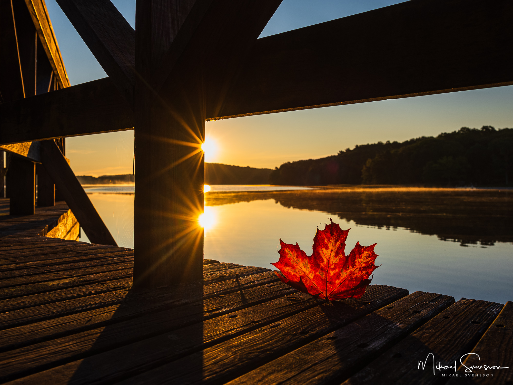 Höst vid Rådasjön, Mölndal.