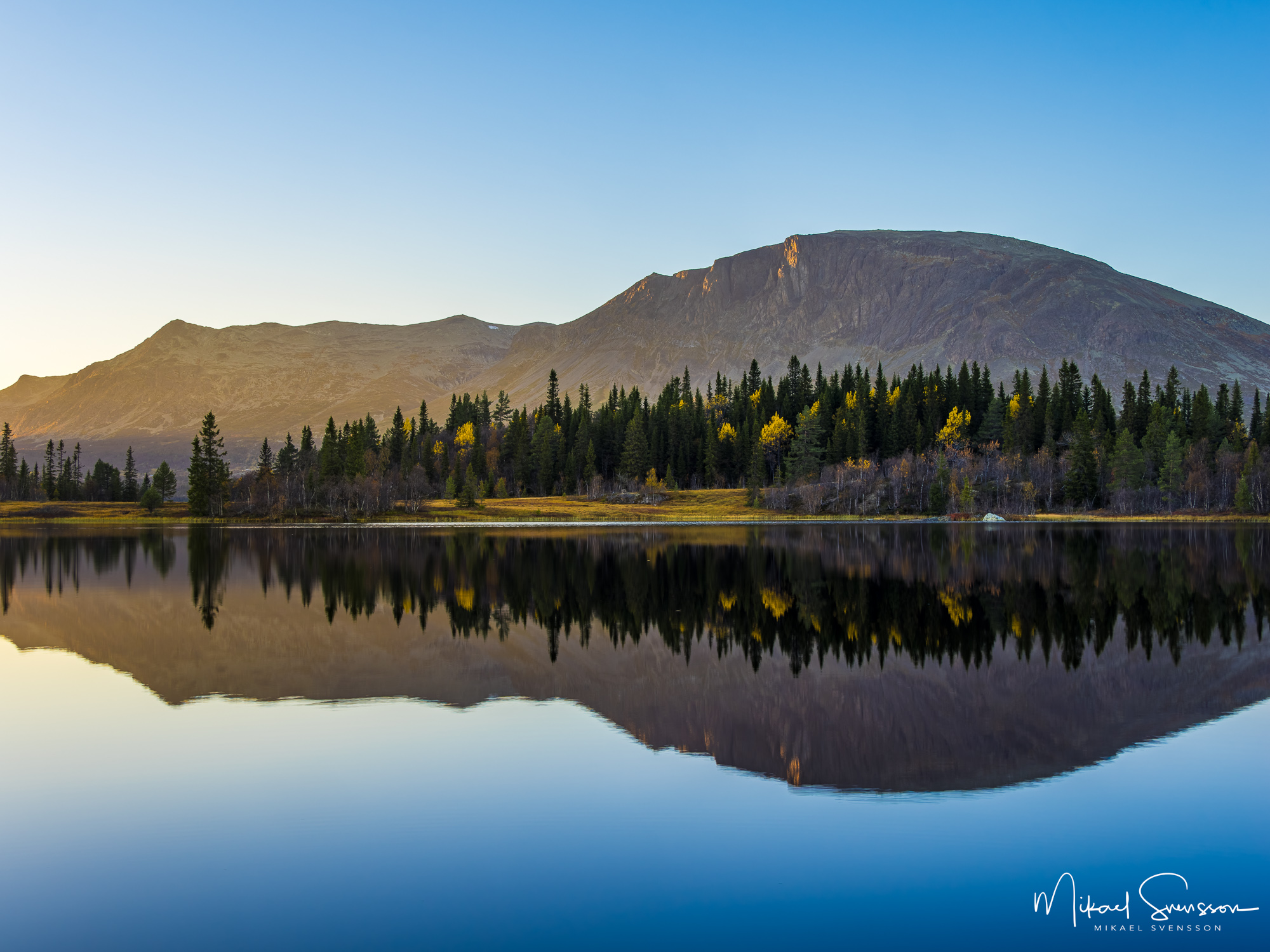 Skogshorn, Buskerud fylke, Norge. Foto: Mikael Svensson