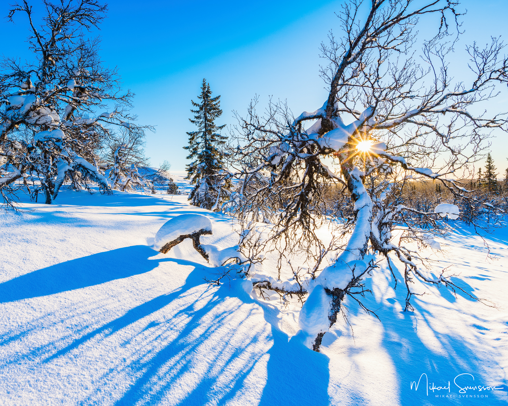 Bild i ny bok om Grövelsjöfjällen En av mina bilder finns med i boken Grövelsjön och Långfjället – naturhistoria och människor