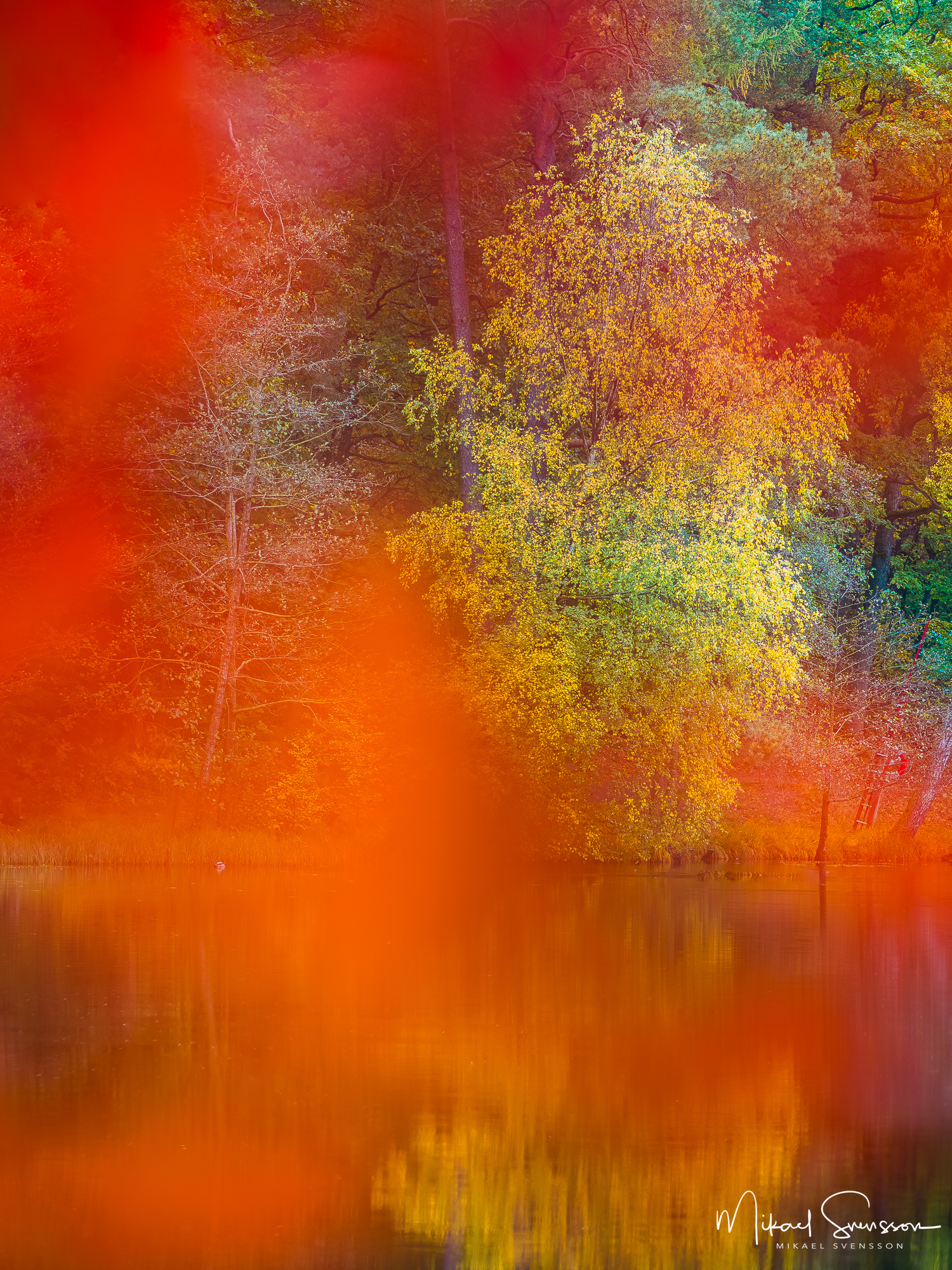 Höstfärger vid Slätta damm, Hisingen.