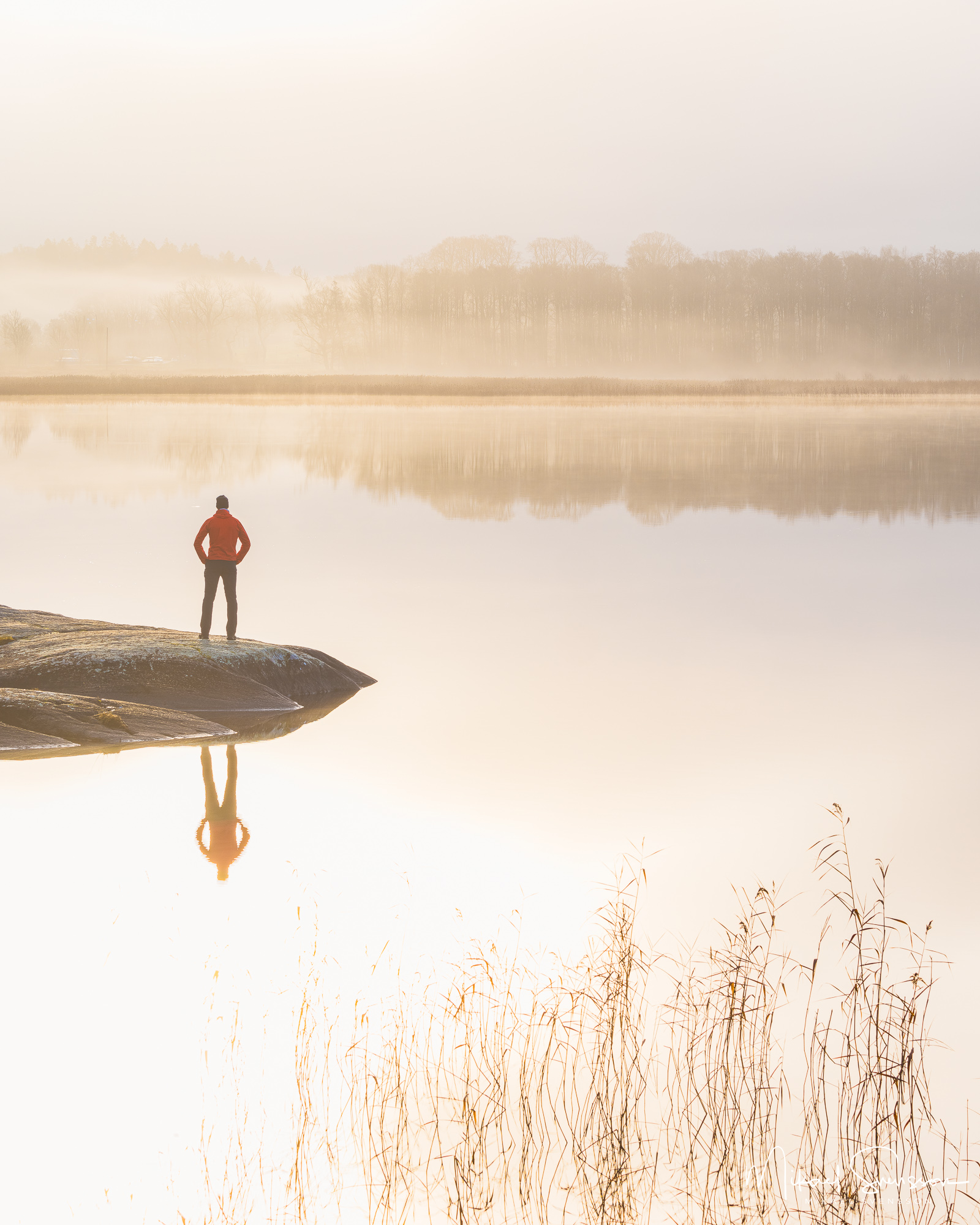 Man står vid udde vid Rådasjön i dimma, Härryda kommun.