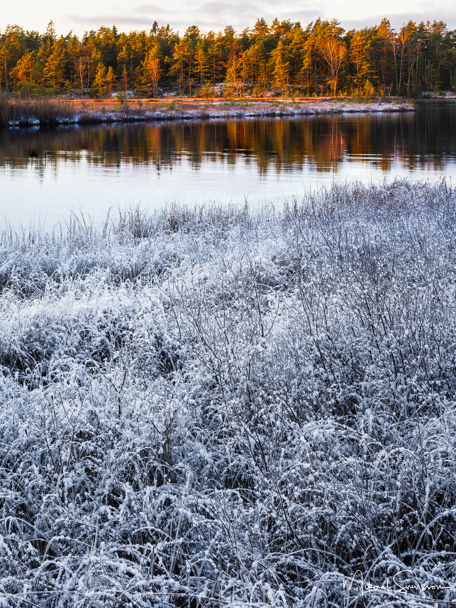 Rimfrost vid Stora Delsjön under soluppgång.