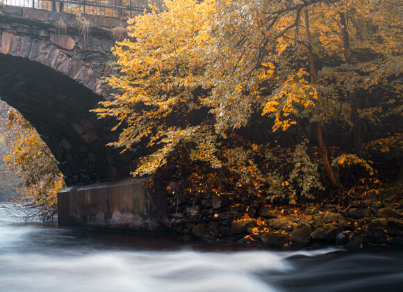 Höstfärger vid Säveån