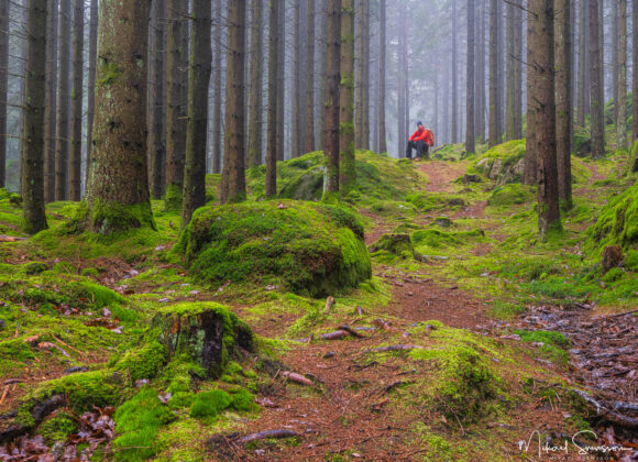 man_sitter_pa_stubbe_i_skogen-molndal-241202036