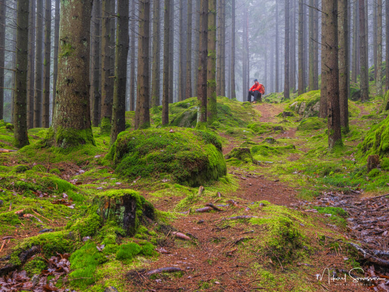 man_sitter_pa_stubbe_i_skogen-molndal-241202036