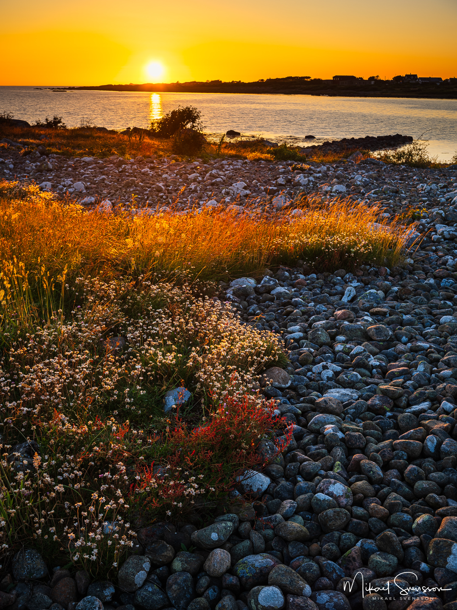 Gamla Köpstad naturreservat, Varbergs kommun.