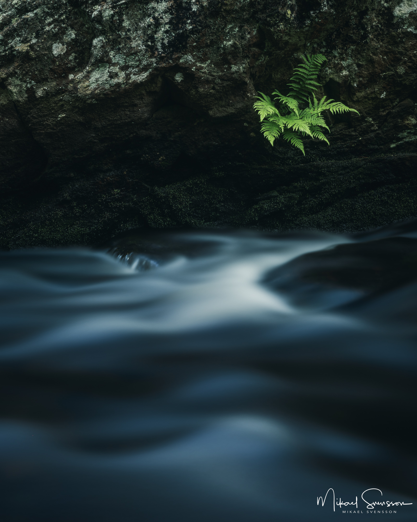Kvarnberget, Risbohult naturreservat, Härryda kommun.