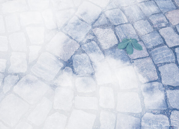 Löv på kullestensgatan i Kvarnbyn, Mölndal.