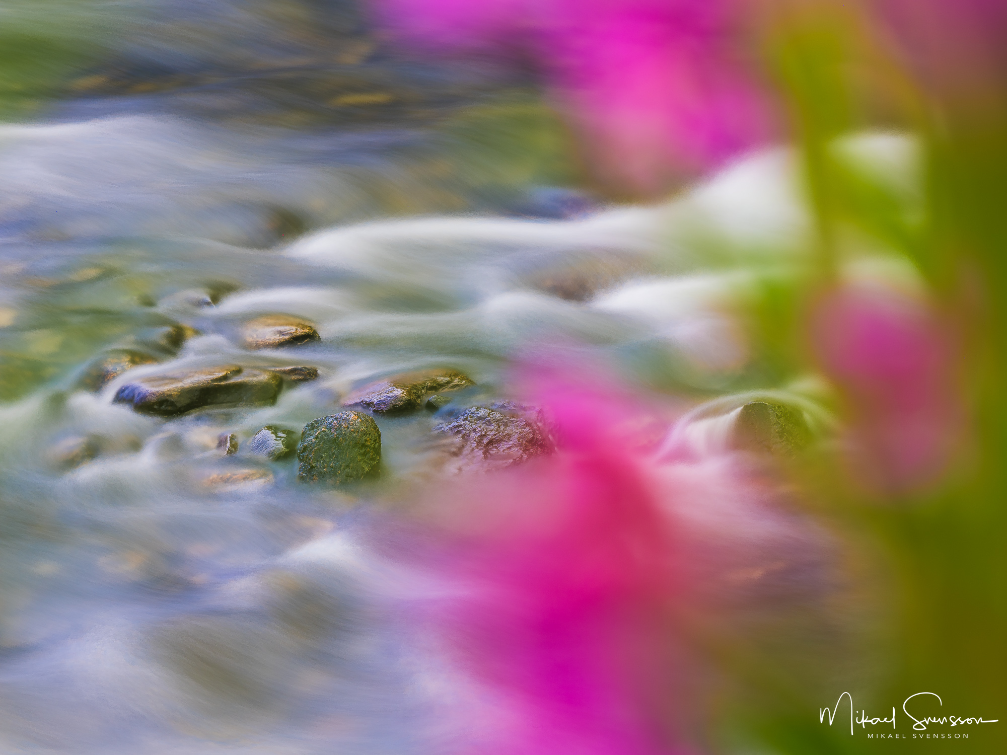 Ljusnan är en 443 kilometer lång älv i södra Norrland vilket gör den till det 8:e längsta vattendraget i Sverige.