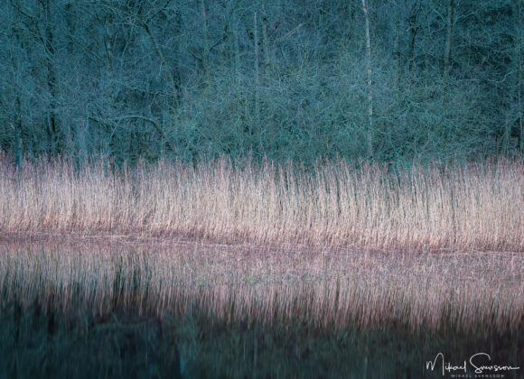 Spegling av vass i den stilla Rådasjön, Härryda kommun.