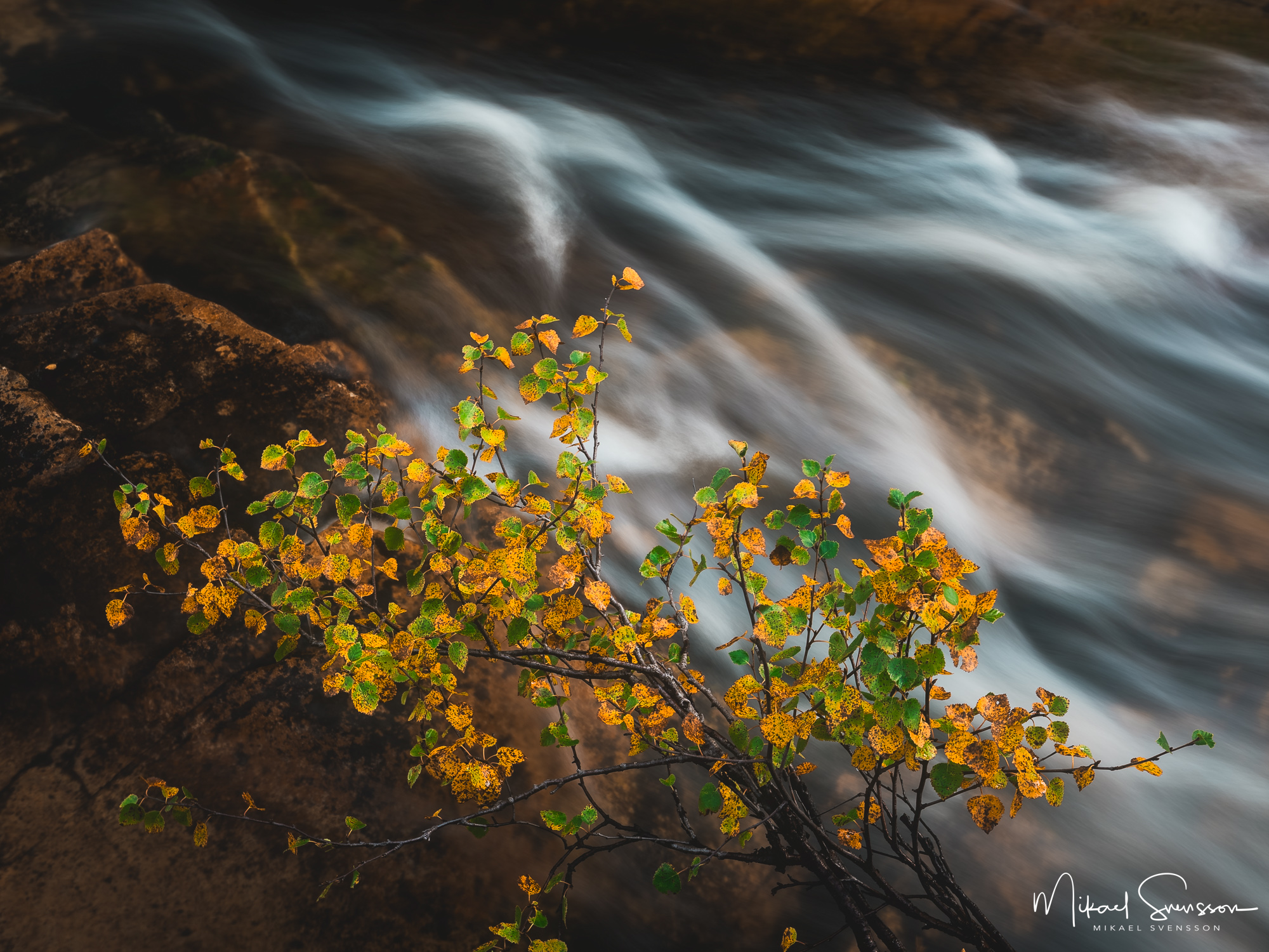 Livsäterån, Funäsdalen, Härjedalen.