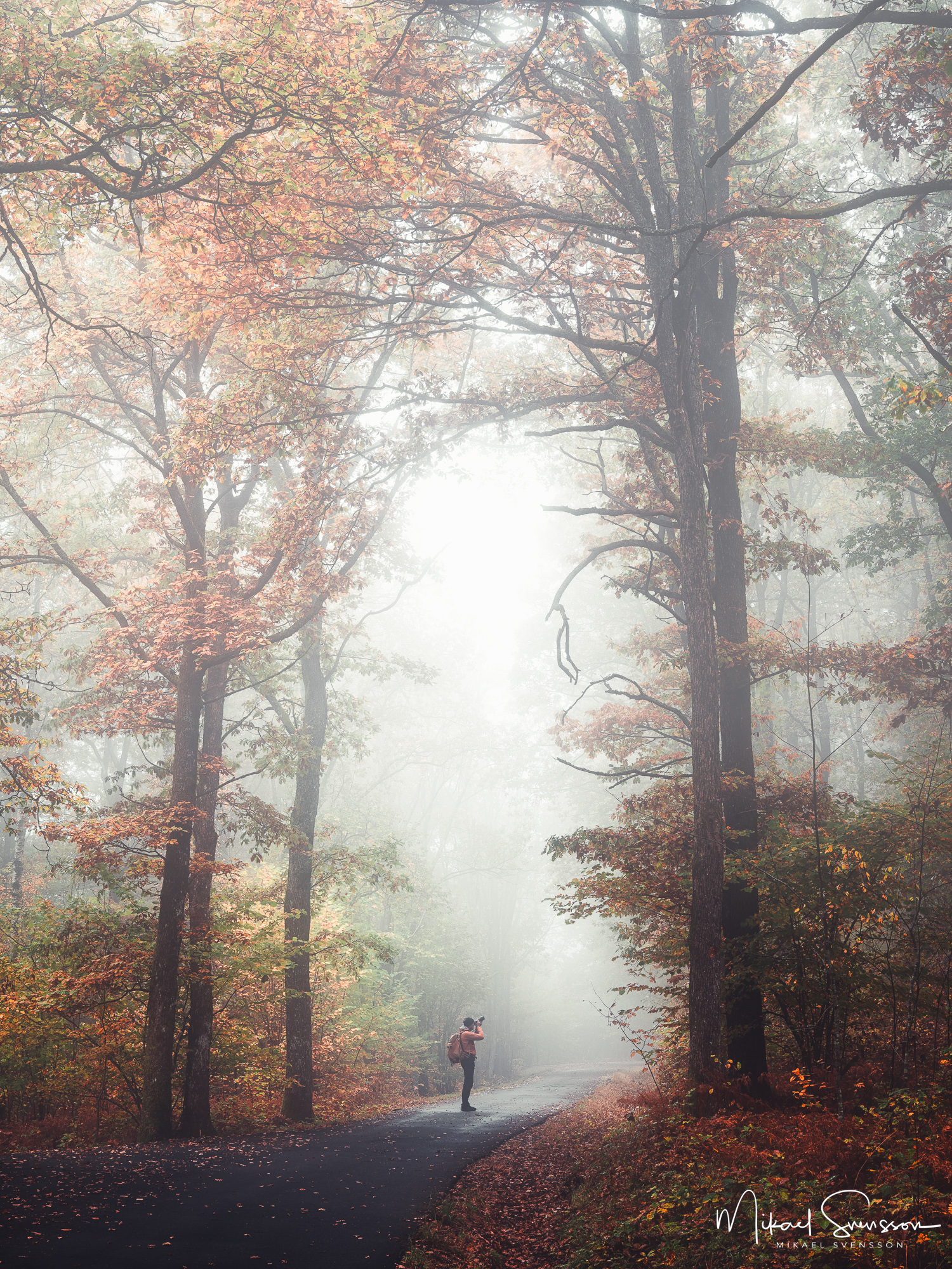 Fotograf i höstlandskap i Kåsjöområdet, Partille kommun
