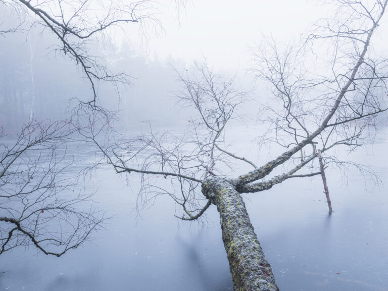 Trindemossen, Änggårdsbergen