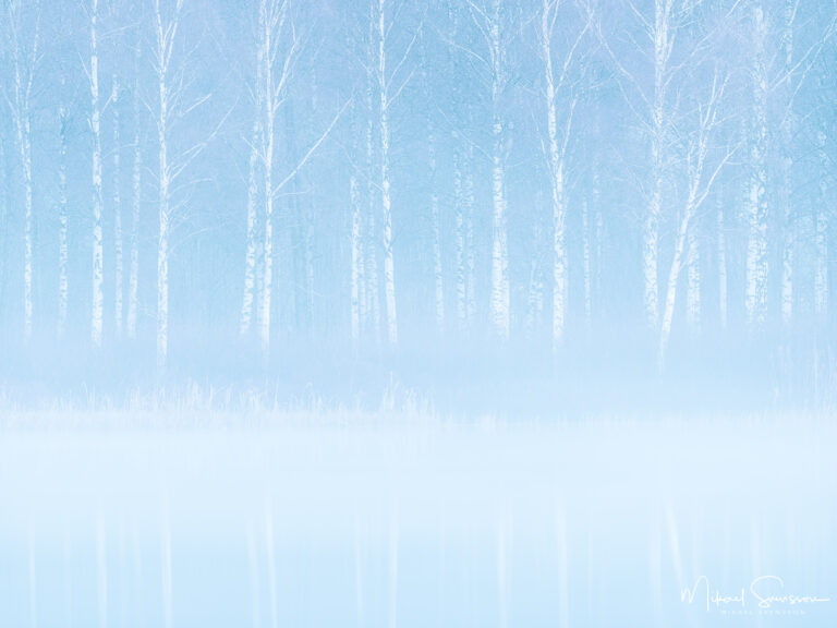 Dimma vid Landvettersjön, Härryda kommun.