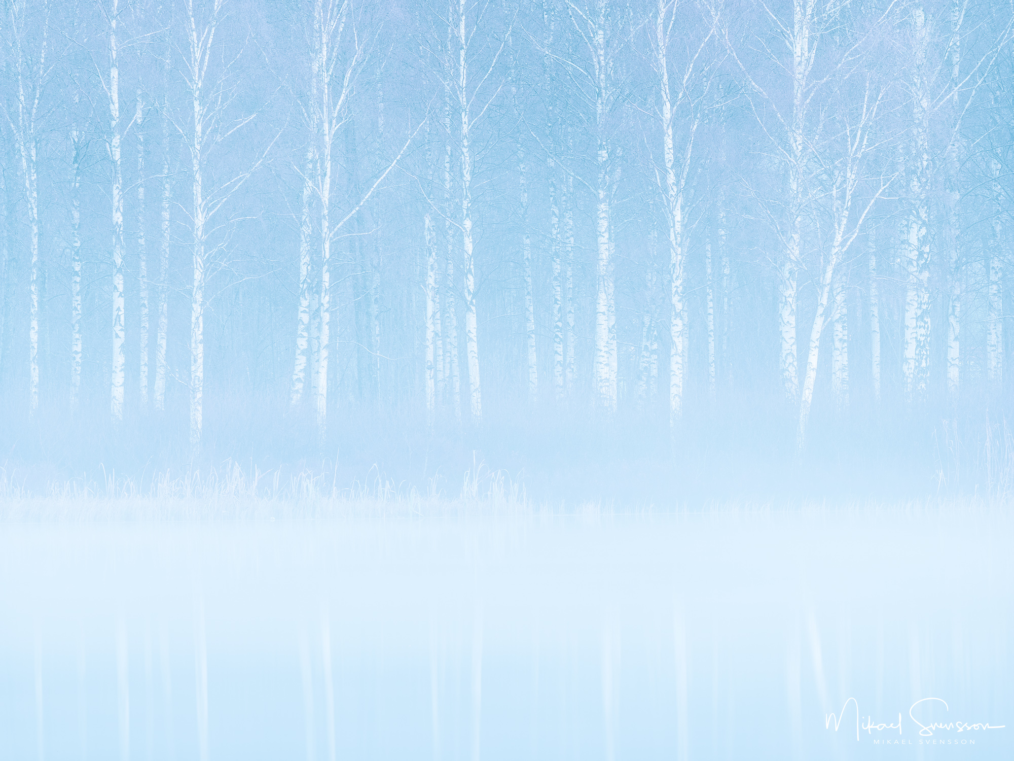 Dimma vid Landvettersjön, Härryda kommun.