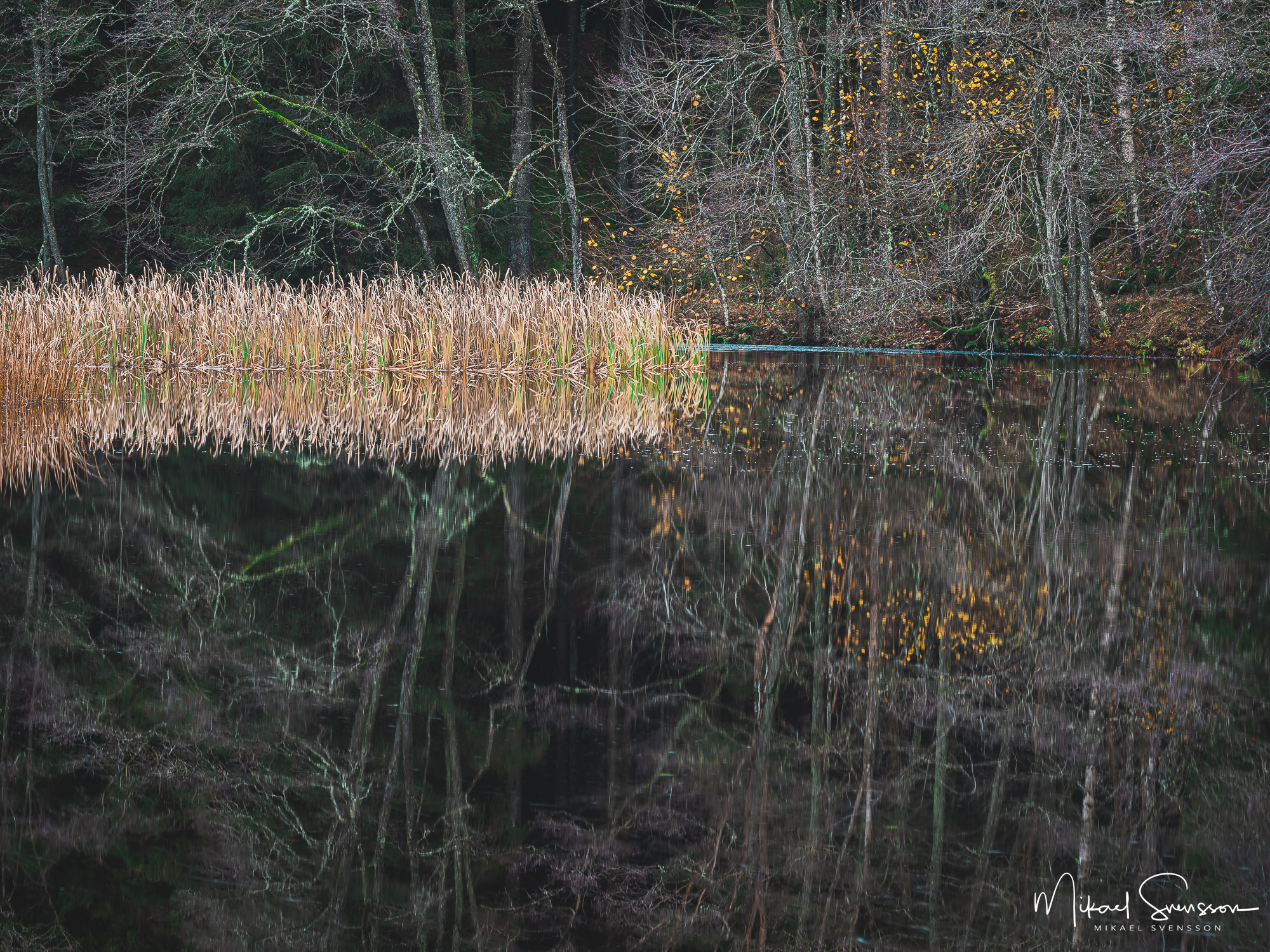 Kvarndammen, Kungälvs kommun