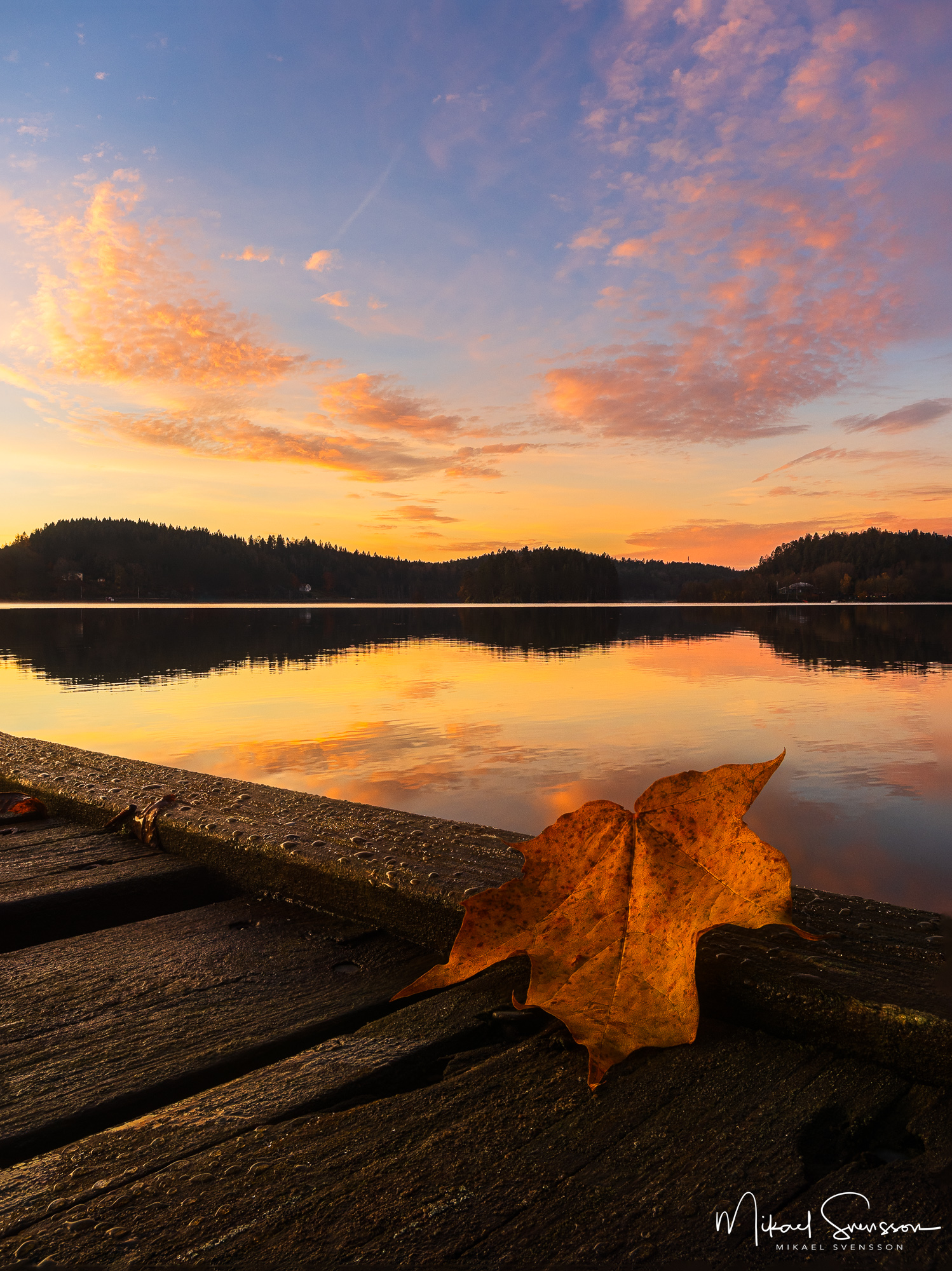 Lönnlöv på brygga vid soluppgång vid Landvettersjön