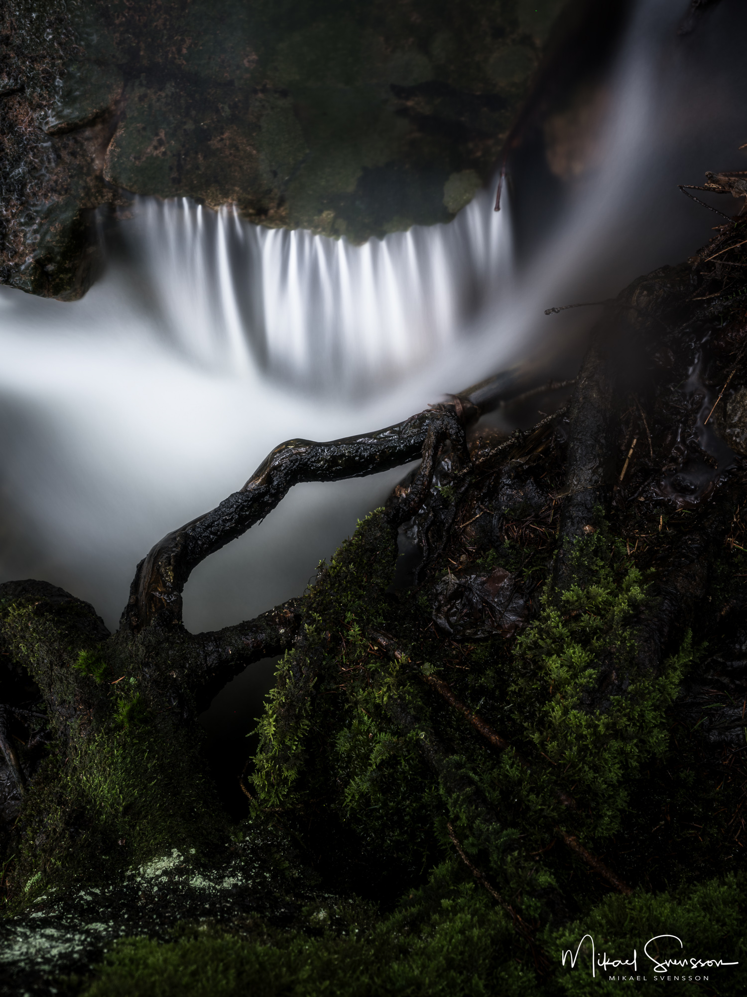 Bäck i Änggårdsbergen, Mölndal.