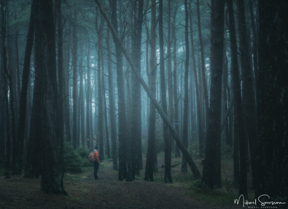Vandrare i Änggårdsbergens naturreservat, Göteborg.