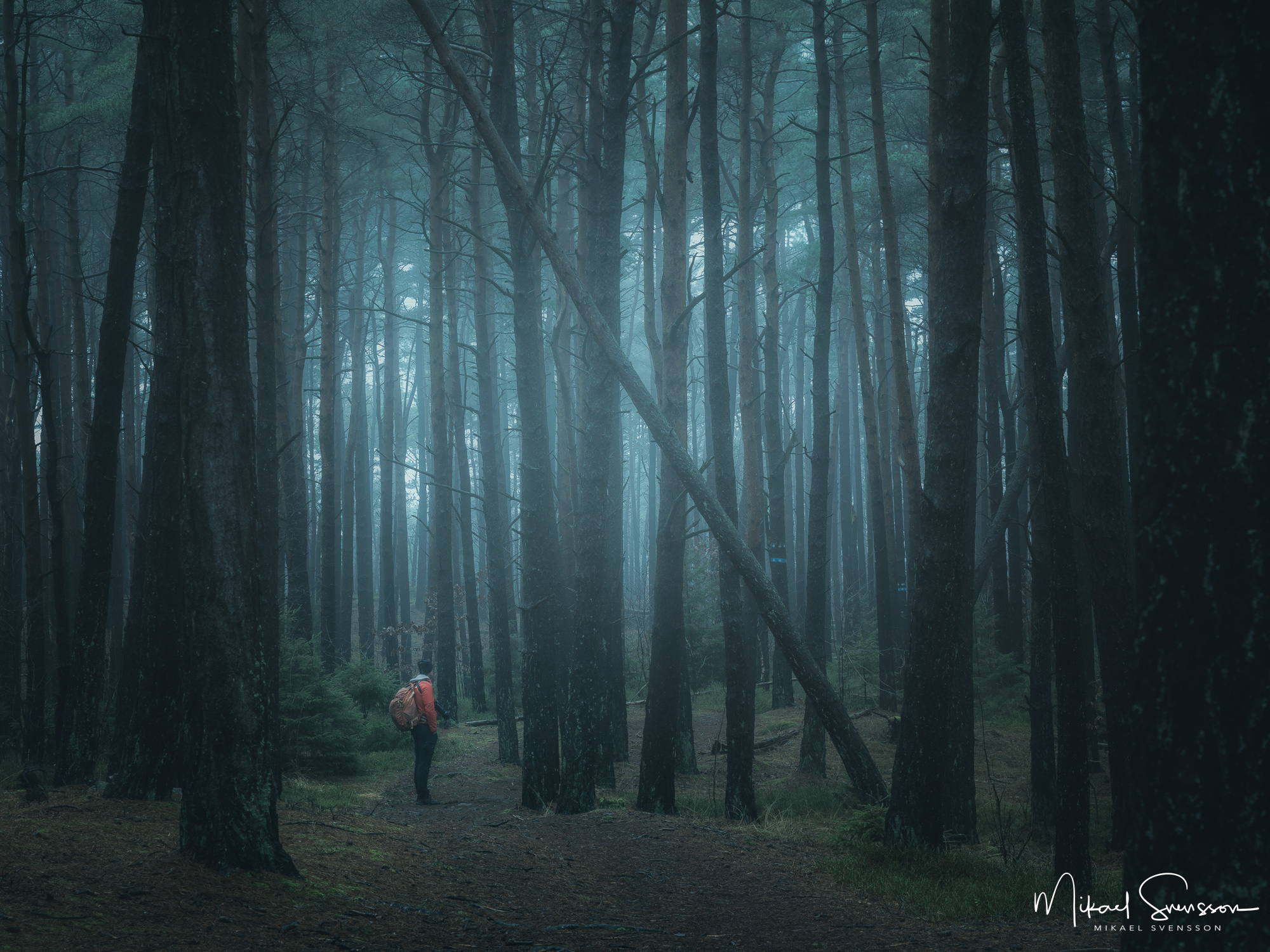 Vandrare i Änggårdsbergens naturreservat, Göteborg.