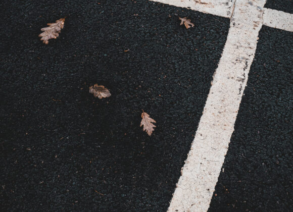 Löv och linjer på parkeringsplats vid Rådasjöns badplats