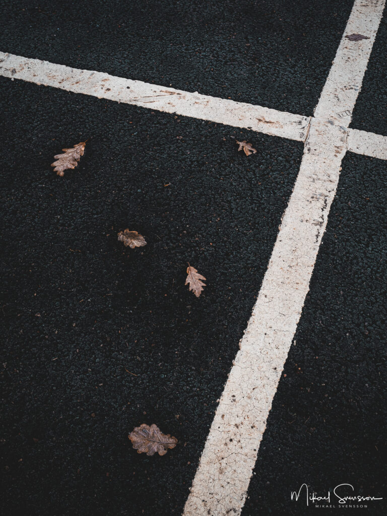 Löv och linjer på parkeringsplats vid Rådasjöns badplats