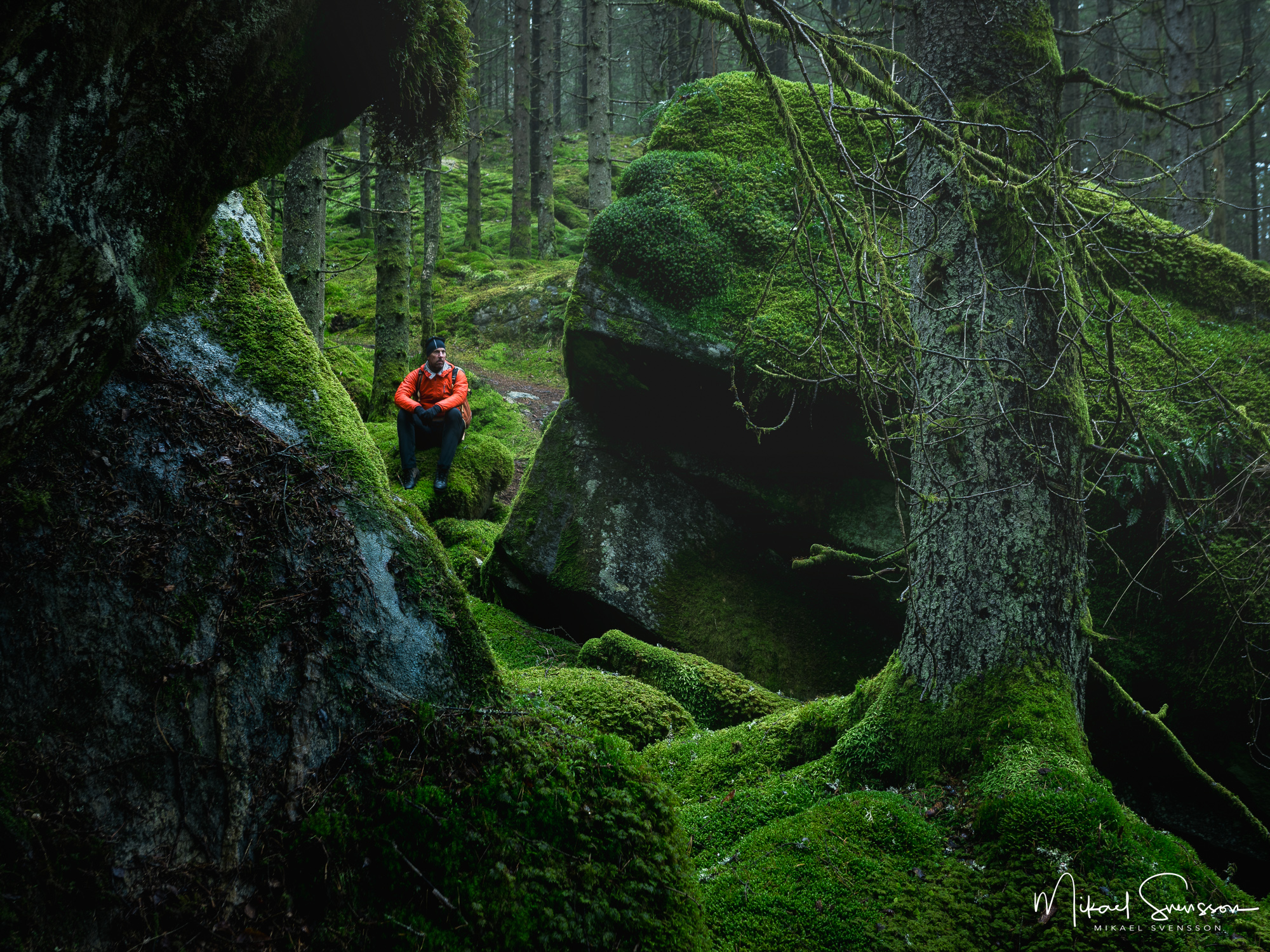 Vandrare sitter i Svartedalens naturreservat, Stenungssunds kommun