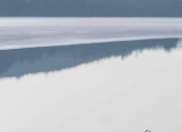 Vass vid Västra Ingsjön, Marks kommun