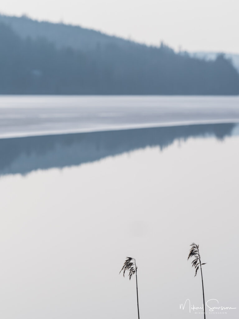 Vass vid Västra Ingsjön, Marks kommun