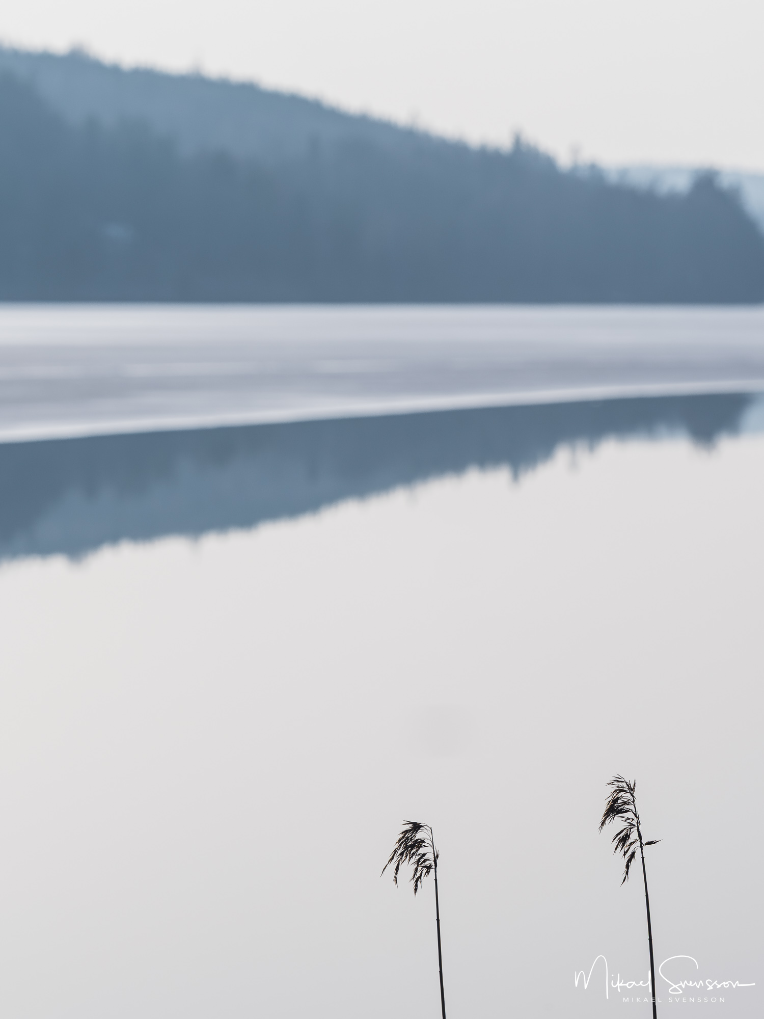 Vass vid Västra Ingsjön, Marks kommun