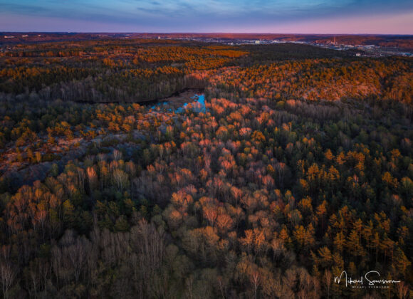 Änggårdsbergen naturreservat i kvällsljus, Göteborg
