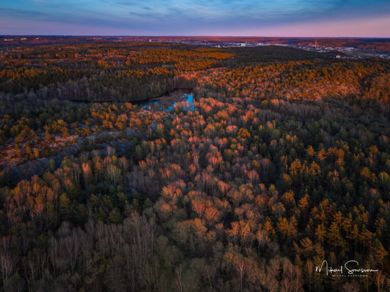 Änggårdsbergen naturreservat i kvällsljus, Göteborg